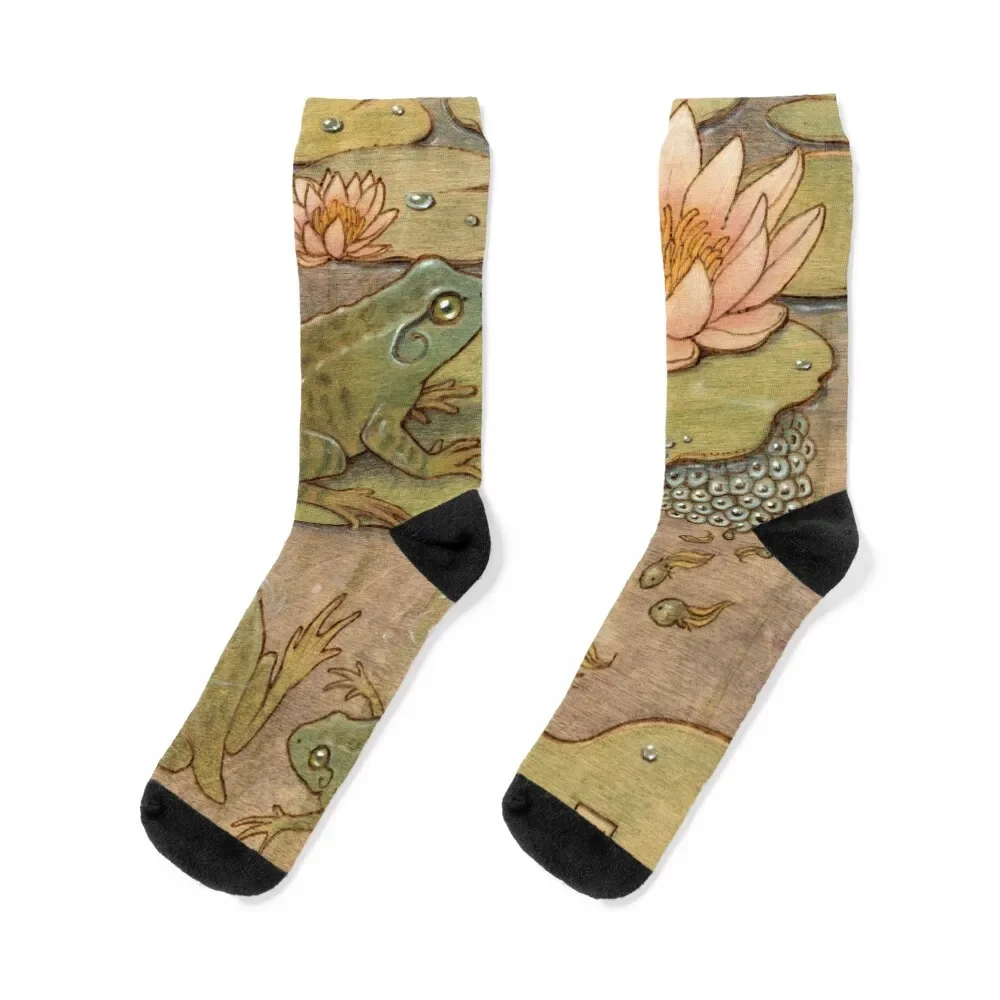 

Frog Life Cycle Socks hiphop christmas gift japanese fashion Novelties Men's Socks Women's