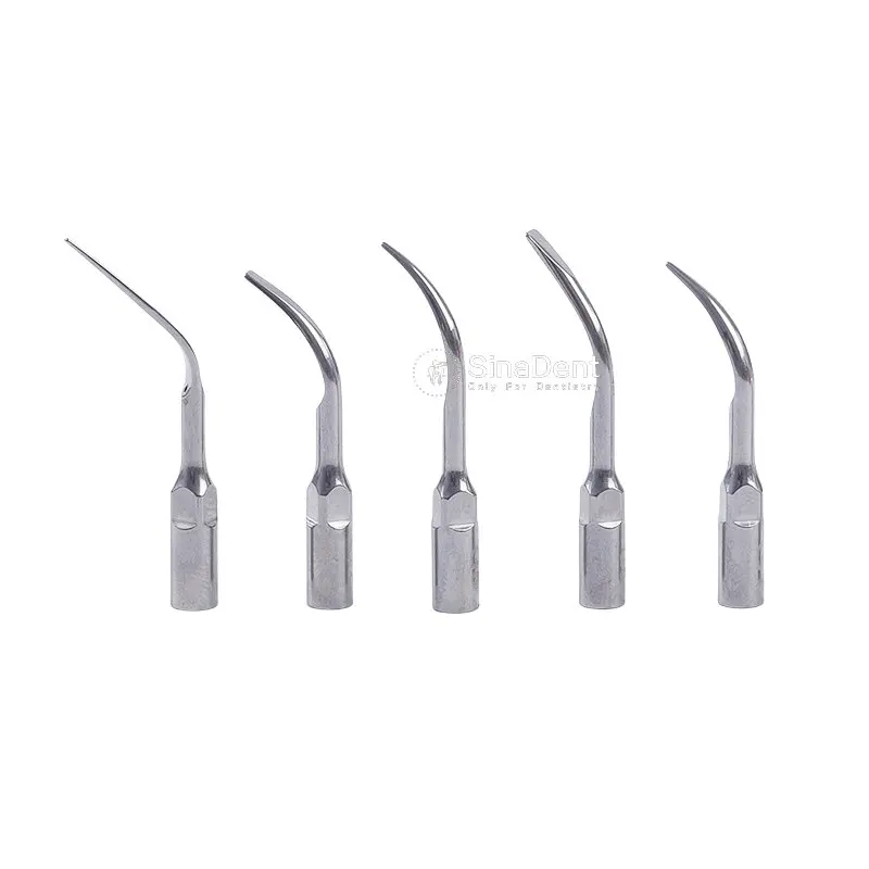 5Pcs Dental Ultrasonic Scaler Tips G1 G2 G3 G4 P1 P3 GD1 GD2 GD3 GD4 PD1 for EMS DTE Satelec  Dental  Instruments