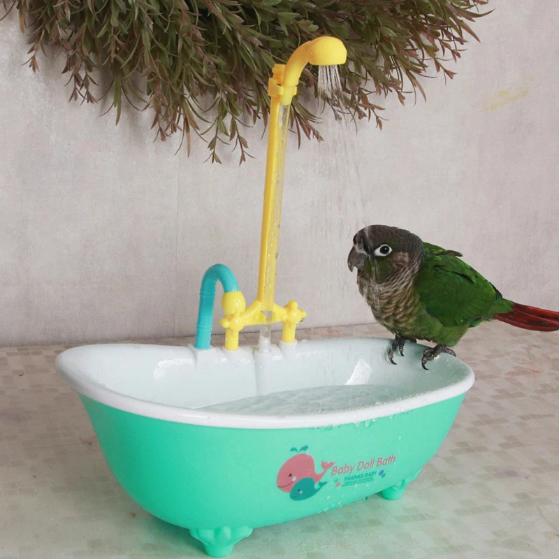 #12 Trending Bird Perch Stands Right Now