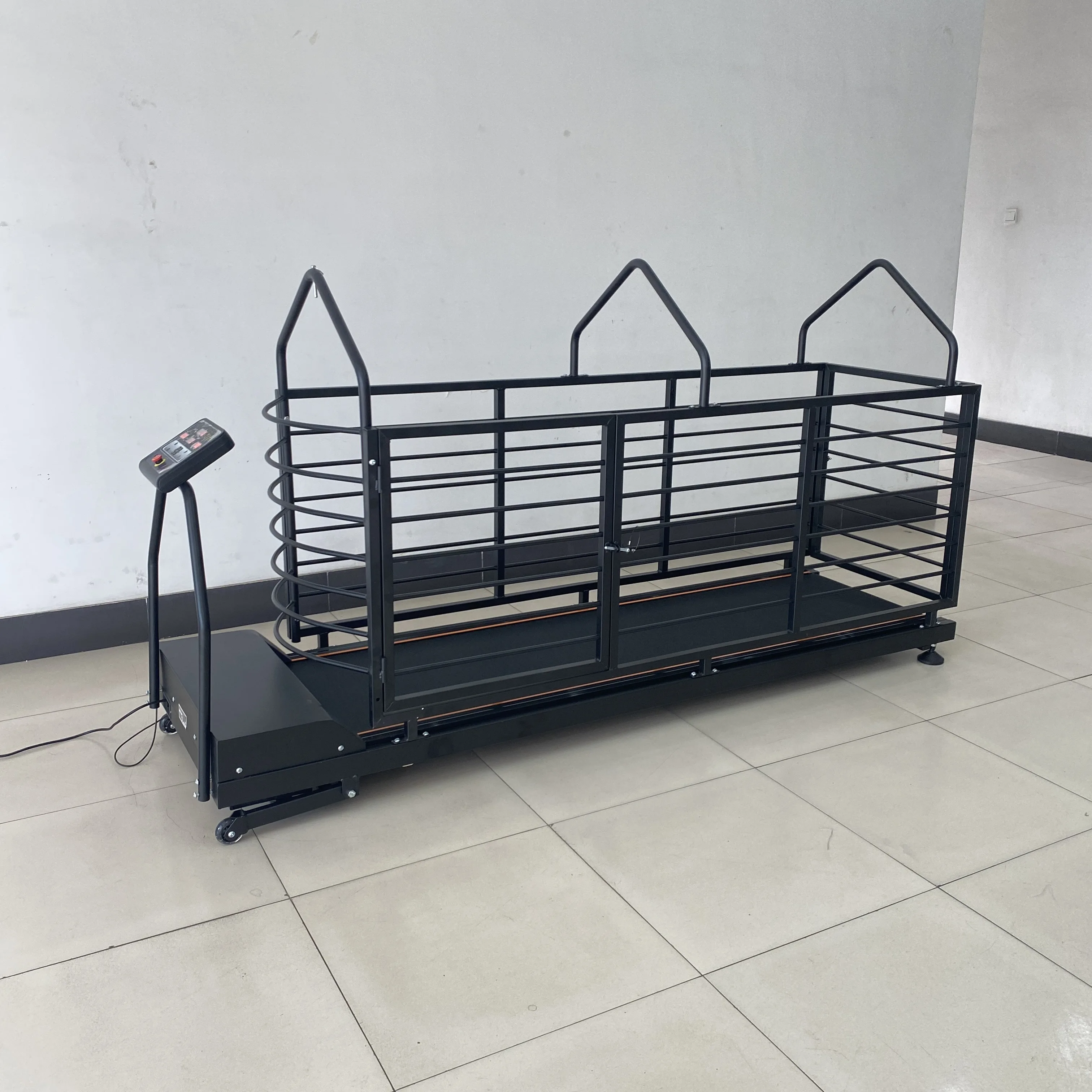 Large Dog Pet Treadmill PET  Treadmill Stainless Steel Dog Rehabilitation Treadmill Pet Rehabilitation Exercise