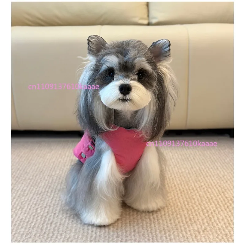 

Pet Autumn and Winter Dog Cat Clothes Thick Maltese Small Contrasting Color Cotton Clothes Vest Double-sided Wear To Keep Warm