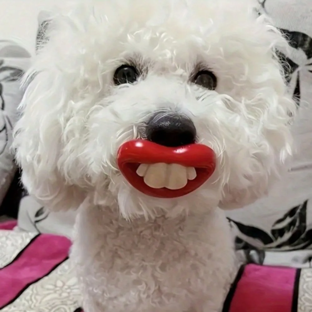1PC Bite-Resistant Silicone Dog Toy with a Fun Pacifier Design, Helps Clean Teeth and Relieve Boredom, Suitable for Small Dogs