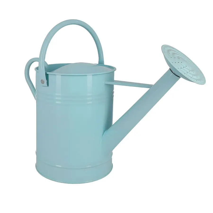 

Iron Watering Can for Indoor Plants, DIY Watering Cans for House Plant Garden Flower, Long Spout Water Can for Outdoor Watering