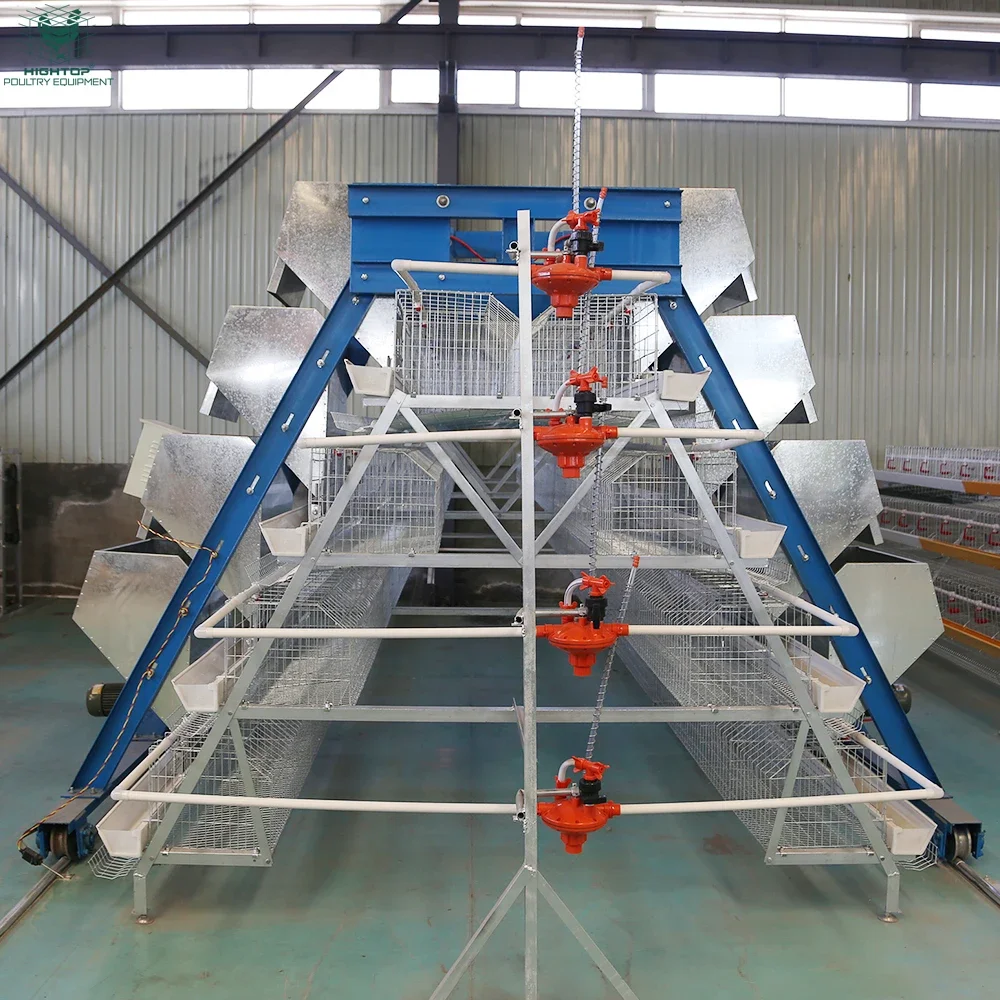 Factory Price Poultry Farm A-Type Galvanized 3-Tier RTL Chicken Cage Layer Hens Egg Laying Chicken Battery Cage System for Sale