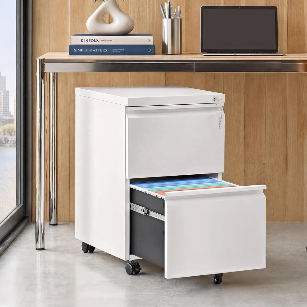 2 Drawer File Cabinet with Lock, Fully Assembled Except Casters, Steel