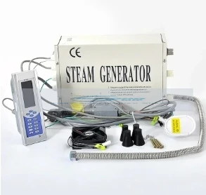 TR-019 Steam Generator System Home Shower Room Steam Generator Sauna Bath Steam Equipment With Remote Control 220V 3000W