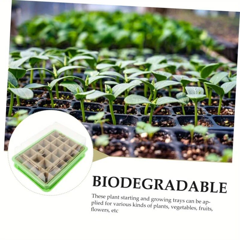 24 Grid Cell Plant Germination Tray, Seedling Pot, Easy To Use For Indoor Gardening, Indoor Growth And Plant Cultivation Tools