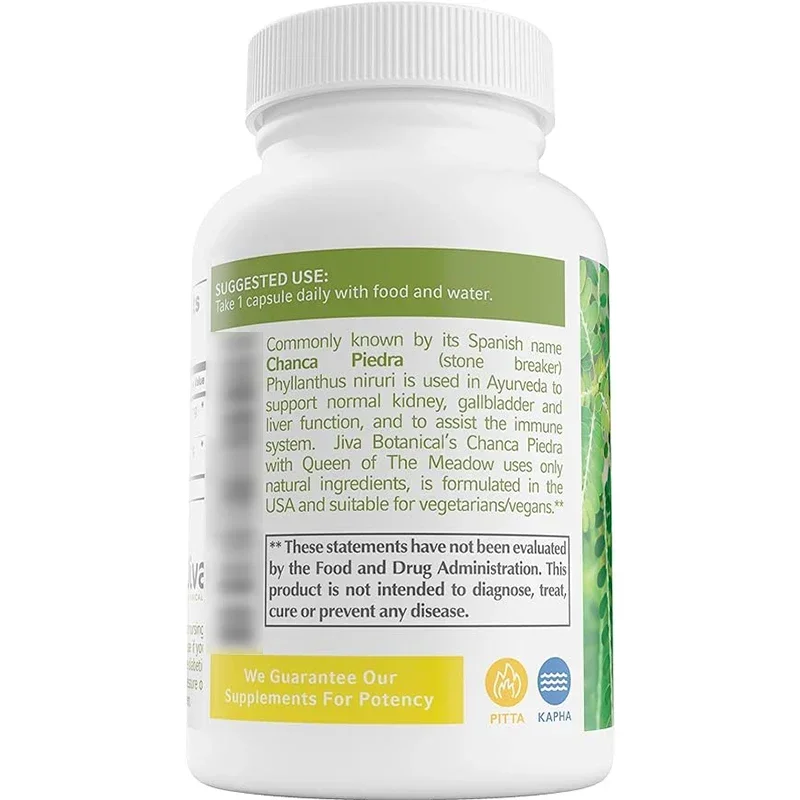 Chanca Piedra Supplement - Organic 500mg Extract, Containing 50mg Grass -60 Capsules