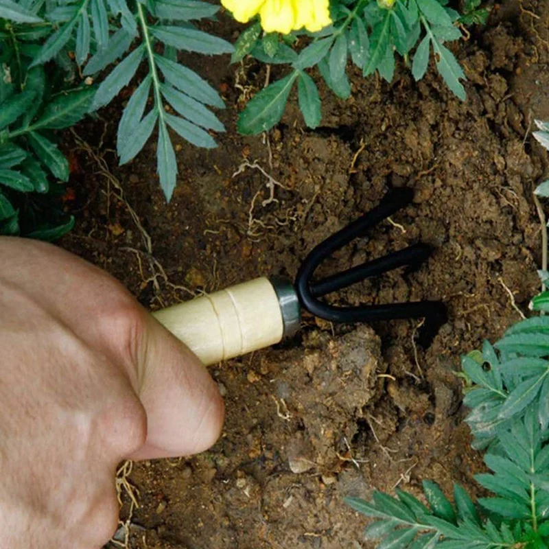 Набор из 6 Мини садовых инструментов, ручные инструменты для посадки, лопатка, грабли, лопатка, деревянная ручка, инструменты для посадки