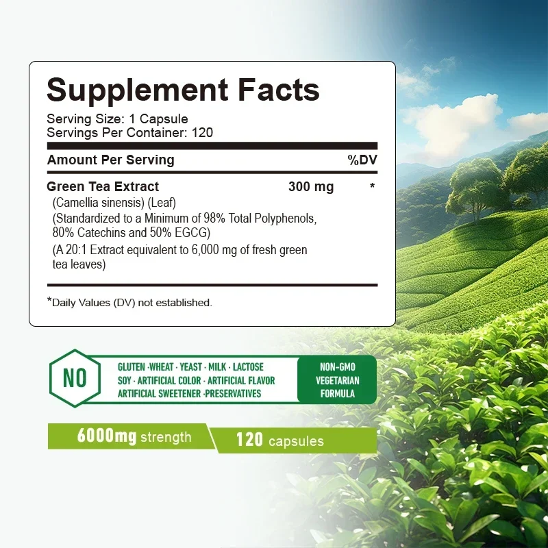 Green Tea Capsules - Belly Fat Burner, Appetite Suppressant, Metabolism, Promotes Digestion and Overall Health,Weight Management