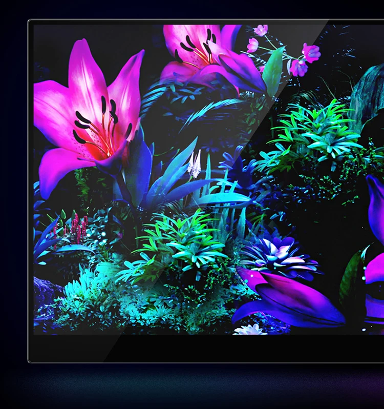 13,3 Zoll 4K OLED Touchscreen Tragbarer Monitor 3840*2160 mit Typ-C HDMI-kompatibel für Handy PC Laptop Gaming Monitor – Detail 8