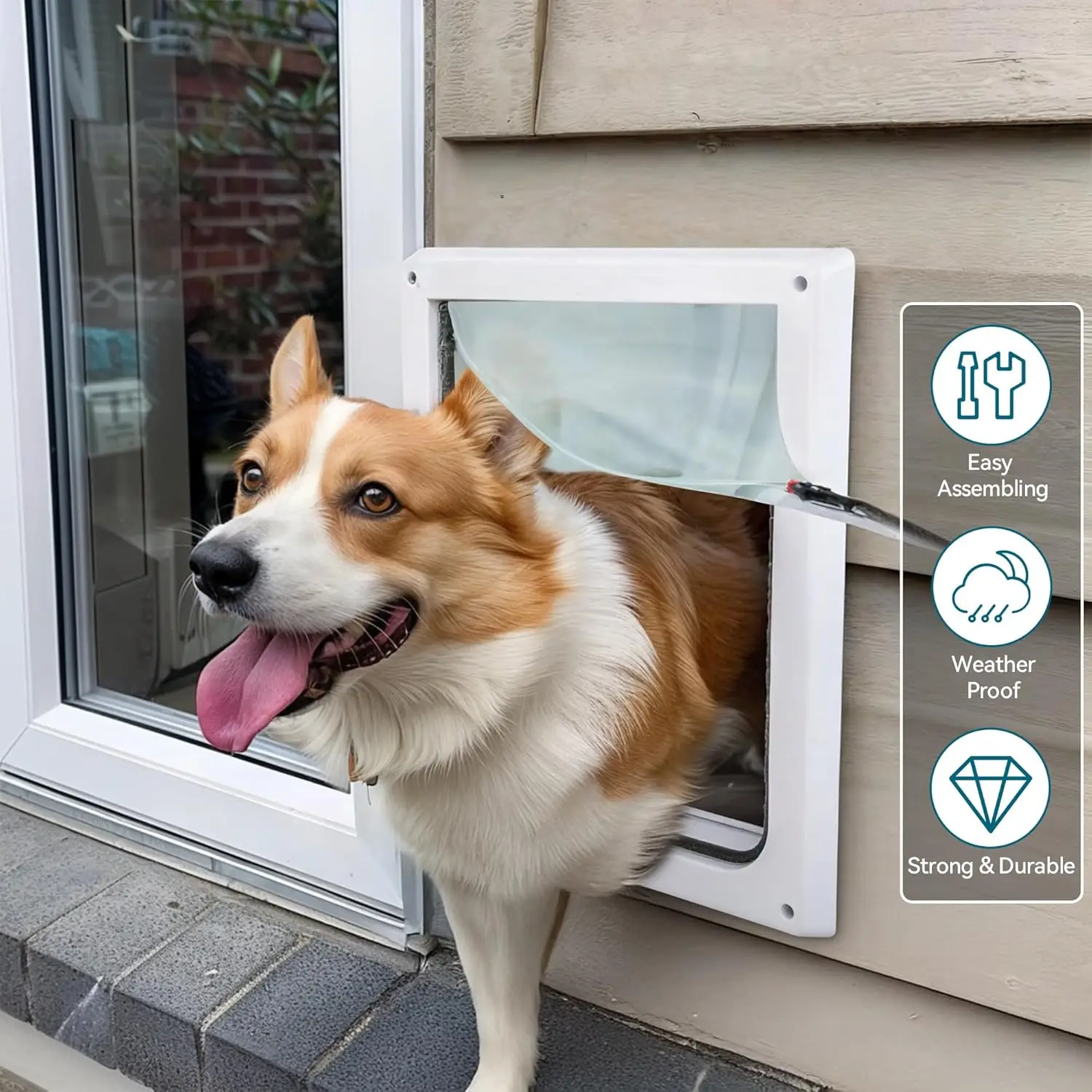 Indoor/Outdoor Use, Metal & Transparent Plastic, Weatherproof, Easy Install, Quiet & Energy-Efficient Dog Door
