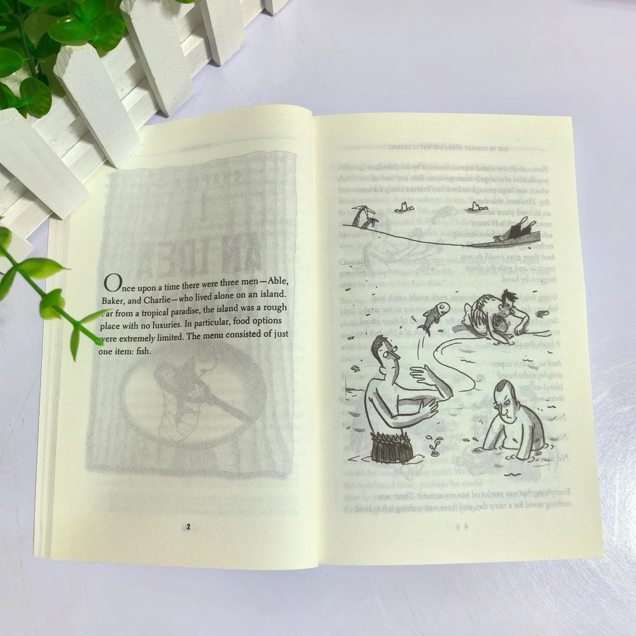 経済はどのように成長し、なぜ崩壊するのか 英語のペーパーバック本