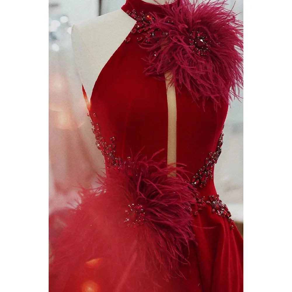 Robe de Soirée en Plumes et Clip pour Occasions Spéciales, Tenue de Bal de Standing, Longue et Exquise, avec Traîne à Balayage et Col Haut, Quelle que soit la Collection 2024