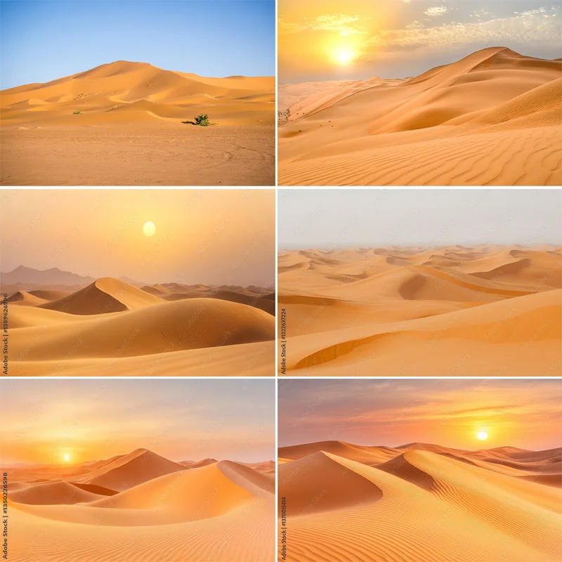 

Scenic Sahara Desert Sunlight Sky Photography Backdrops Morocco Africa Landscape Sunset Sand Dune With Bushes Background DS-01