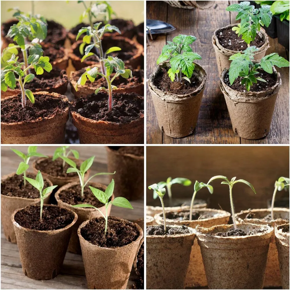 A93E-Peat Pots, 30 Pcs 3 Inch Seed Starting Pots Round Nursery Pot, Biodegradable Plants Pots With Bonus 20 Plant Labels