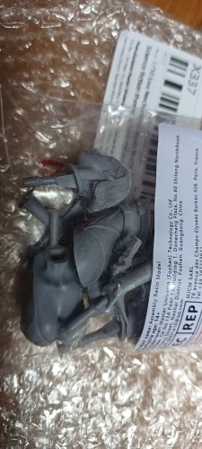 Buyer photo of this resin kit