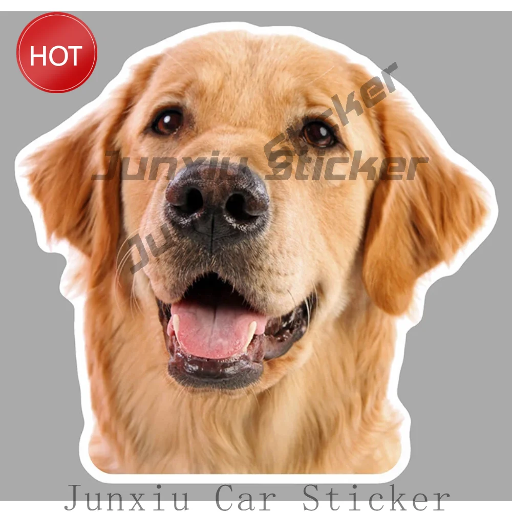 Personalized Tete De Chien Epagneul Cocker Labrador Berger Caniche Autocollant Sticker Outdoor Sticker For Car Window Dirt