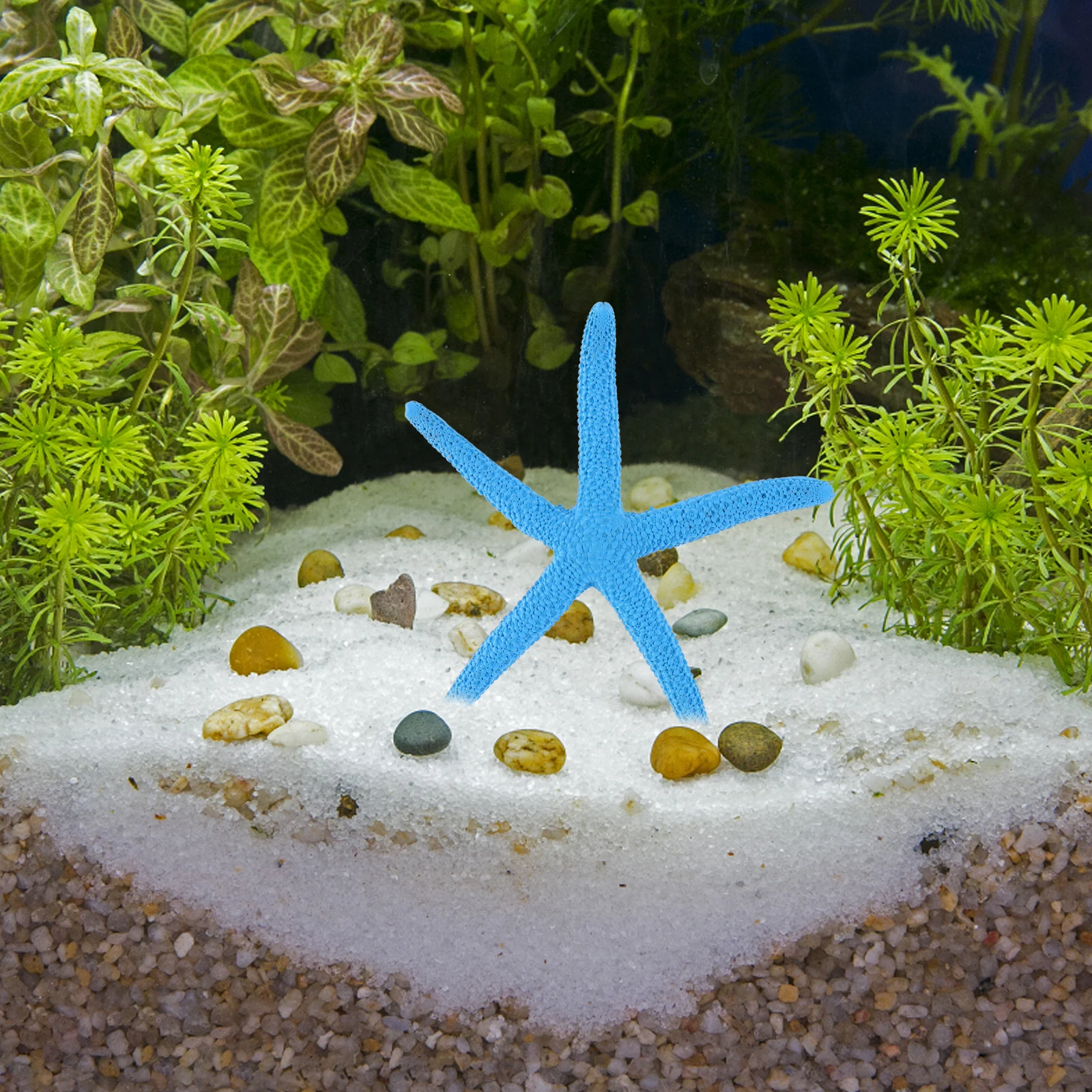 

10Pcs Resin Sea Stars Artificial Fish Tank Adornment Vivid Colors Easy Clean Aquarium Decoration Resin Imitation