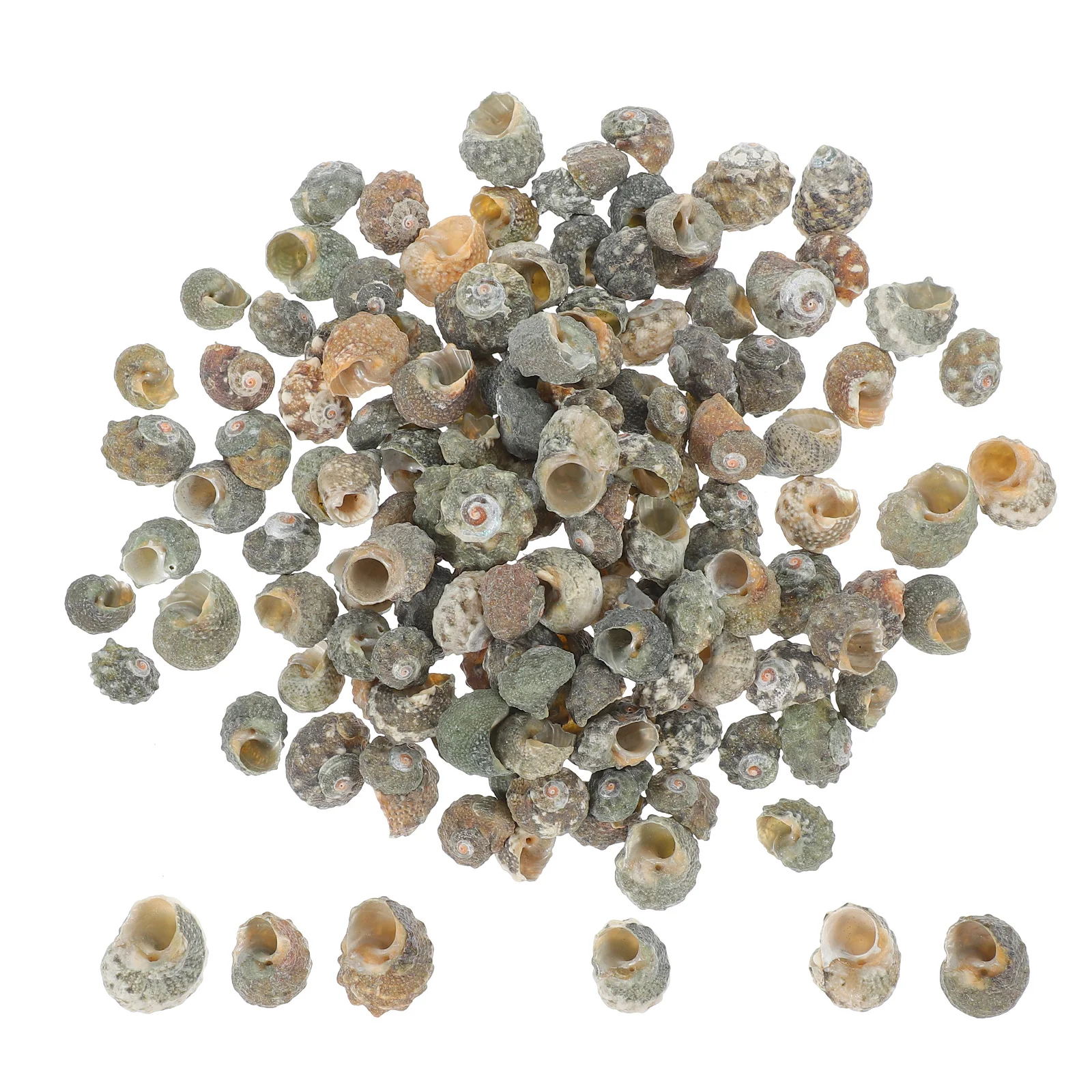 

200Pcs Aquarium Conch Shell Natural Decorations for Fish Tank DIY Craft Hermit Crab Shell Replacement Landscape Desktop Display