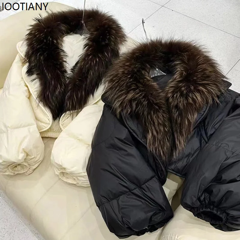 

2026 Fox Fur Collar Down Jacket For Women Feather-filled Short Style Fashionable Elegant Loose Fit Thickened Warm V-neck Coats