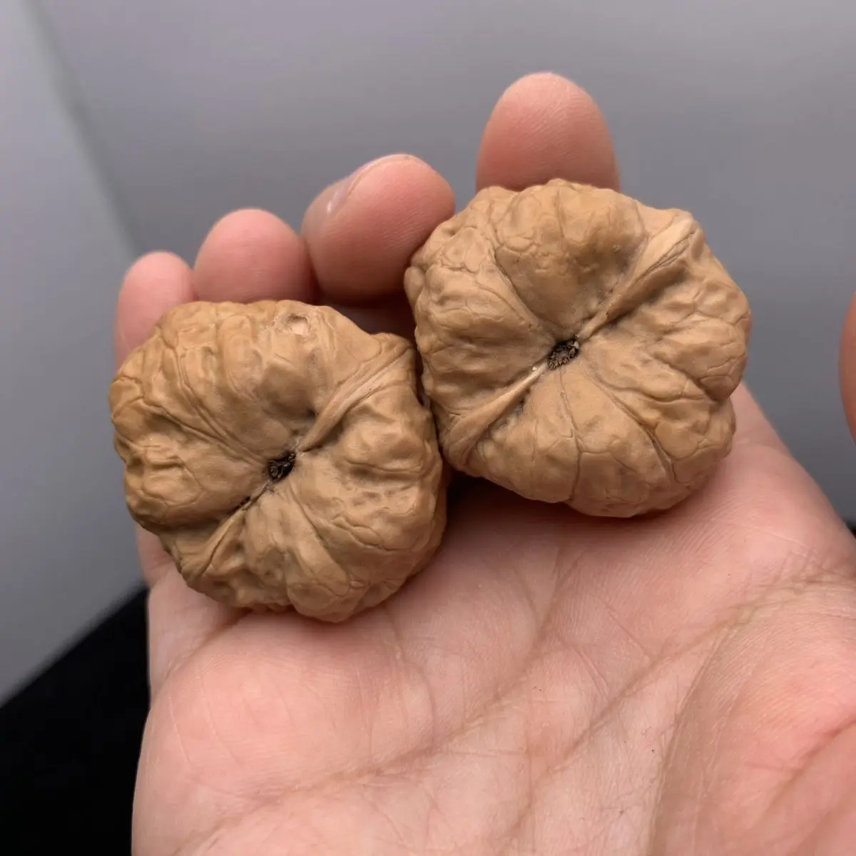 Pair Of Toad Shaped Chinese Wenwan Walnuts For Hand Exercise Stress Relief Collection Yanqing Origin 33Mm Edge 36Mm Belly 30Mm