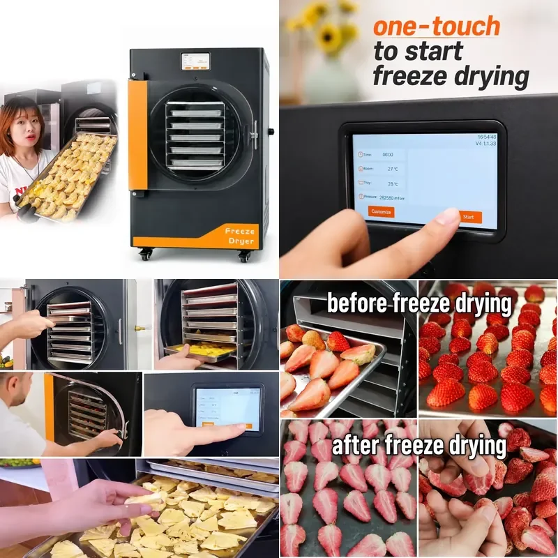 for SUS304 6kg Freeze Dryer Vacuum Freeze Drying Machine with 5 Trays Digital Control for Household Use