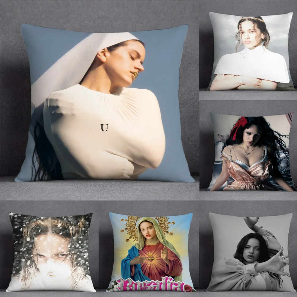 SINGER R-Rosalia lux Pillow Case Square Double-Sided Printing Short Plush Sofa Cushion Cover Bedroom Bedside Pillow