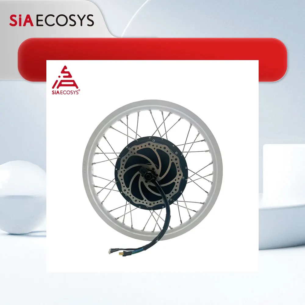 

Sales Clearance QSMOTOR Quick Disassembly 17x1.6inch 1500W 205 V3 Spoke Hub Motor BLDC Motor
