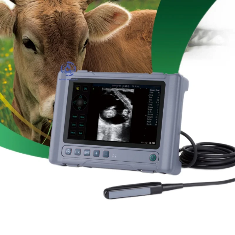Handheld Pig Cow Goat Veterinary Ultra Sound Pig  B Ultrasound