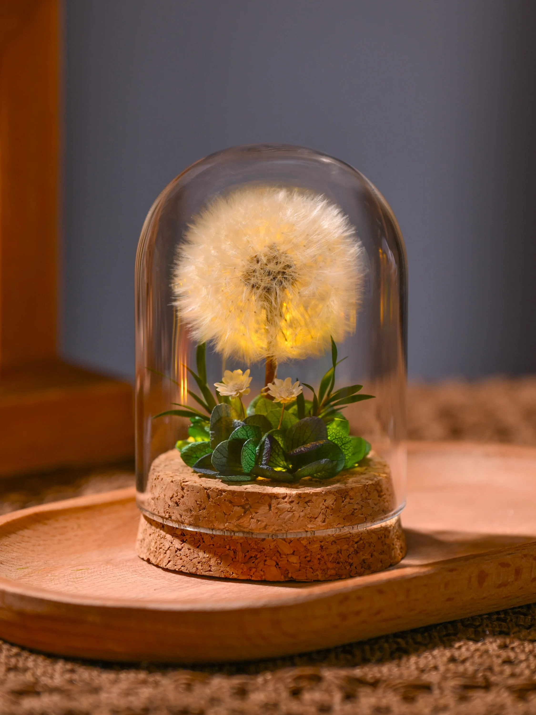 

Night light dandelion immortal dried bouquet glass cover birthday gift knickknack