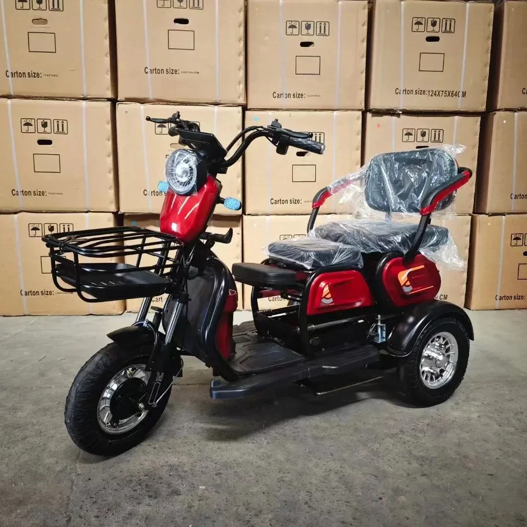 

Cheap Price 600W 48V 3 Wheel Electric Bike LEAD-ACID Battery Delivery Ebike Electric Tricycle For Adults