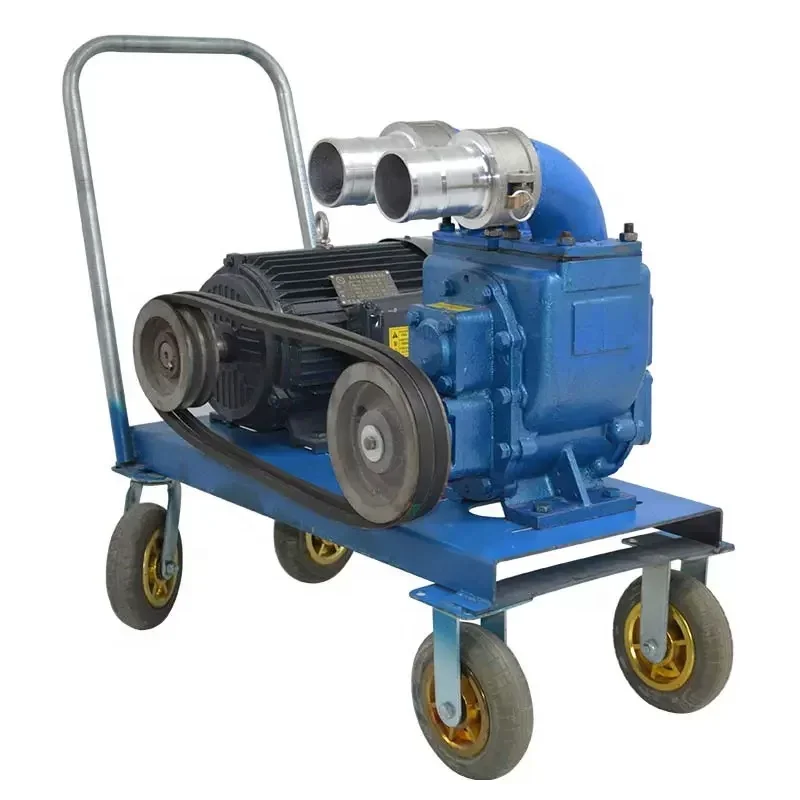 Excrement pump Vacuum automatic waste sewage pump  for breeding farm  Septic tank slurry pump