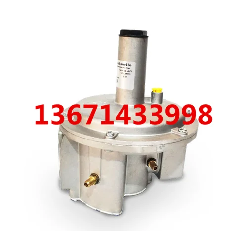 FG1B50 Gas Pressure Reducing Valve Giuliani Anello DN50 Combustion Engine Gas Stabilizing Valve