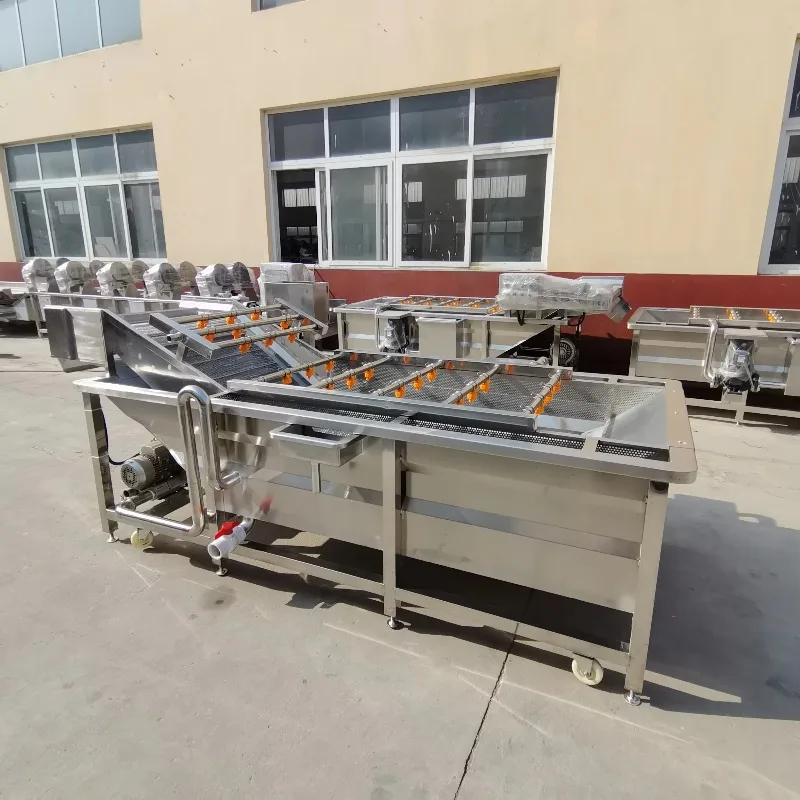 Mass Production Vegetable & Fruit Bubble Cleaning Washer Stainless Steel Construction Multifunctional New