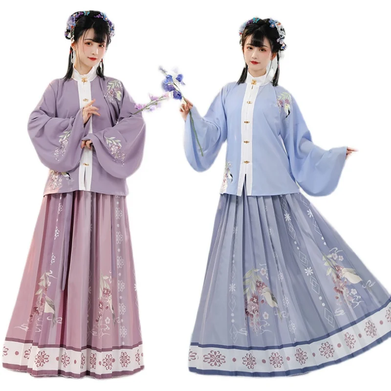 Hanfu Ming – vêtements traditionnels chinois de la dynastie pour femmes, jupe plissée à col montant, tenue brodée, vêtements anciens, 2 pièces