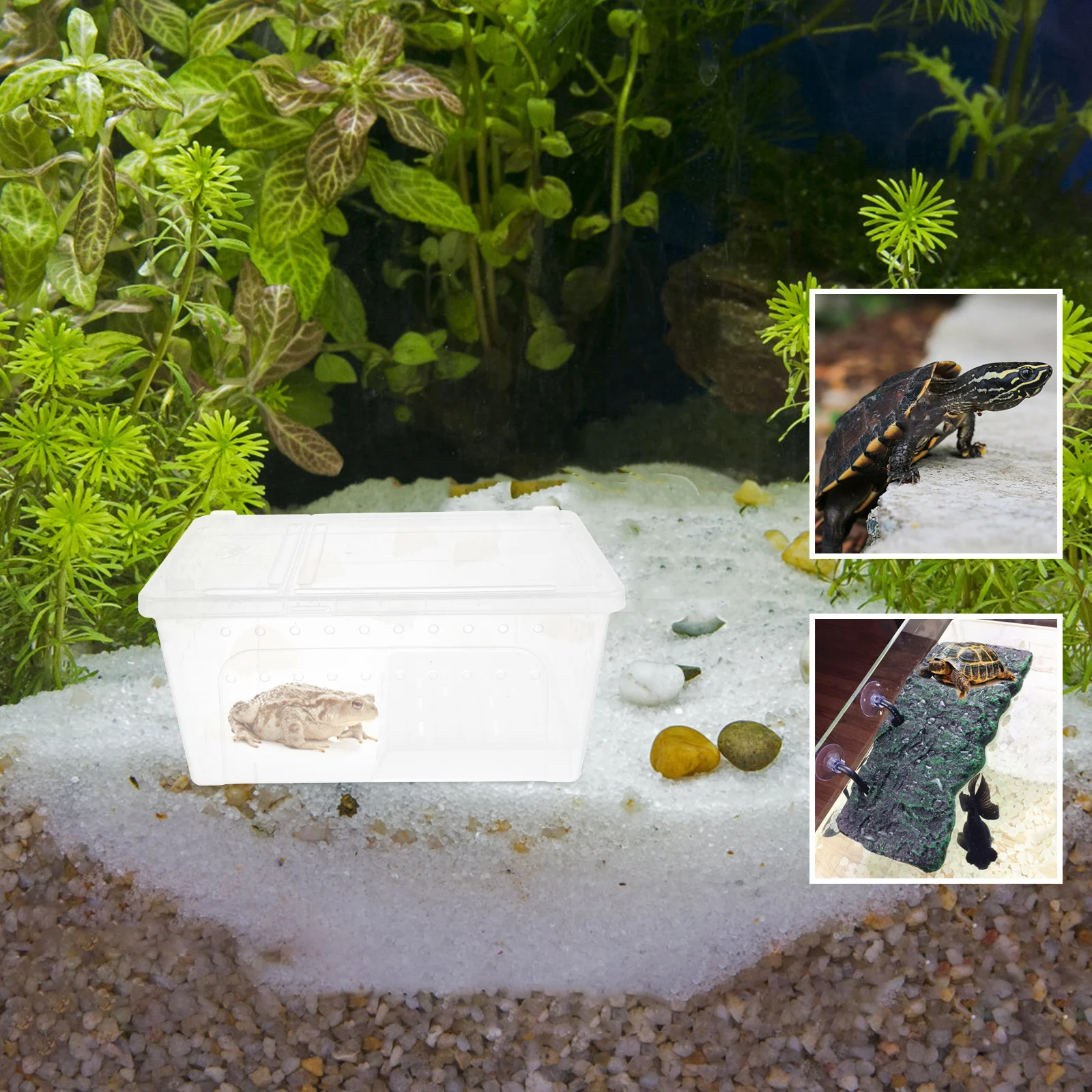 Amphibious Pet Habitat Tank Multi-Function Turtle Aquarium Basking Platform Reptile Breeding Box Plastic Feeding Tank For