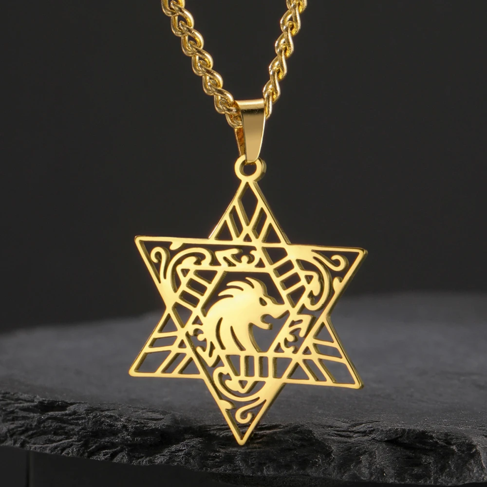 Dawapara Lion of Judah Pendant Necklace Magen Star of David Jewish Star Hexagram Necklace Stainless Steel Protection Amulet