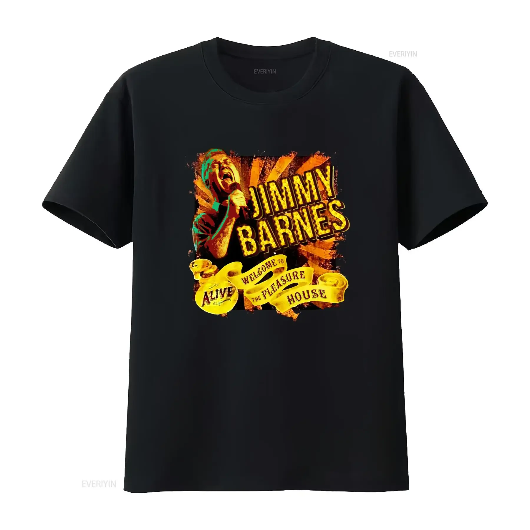 T-shirt vintage Alive Tour VTG JIMMY BARNES 2013, noir, S 5XL, 1J0053, style streetwear légèrement délavé, pour un usage quotidien