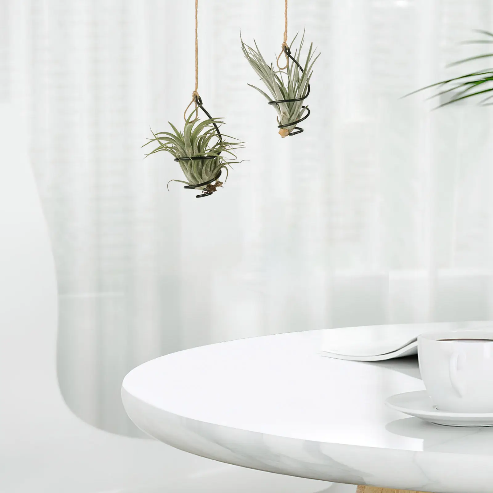 conjunto-de-12-suportes-espirais-de-metal-ajustaveis-para-tillandsias-expositor-suspenso-para-suculentas-sem-solo-decoracao-para-casa-e-escritorio