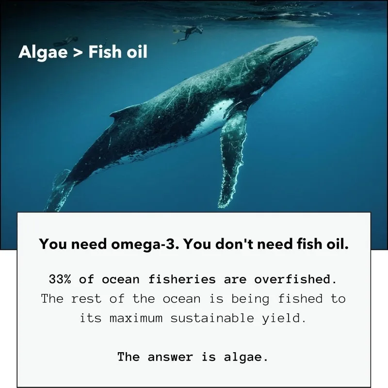 Omega 3 DHA Contains Seaweed Oil DPA -60 Capsules for Overall Health Support