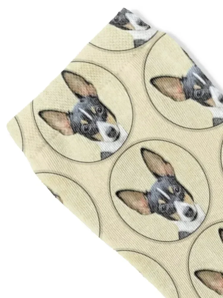 Toy Fox Terrier Socks Crossfit cute christmas gift Non-slip Men Socks Women's