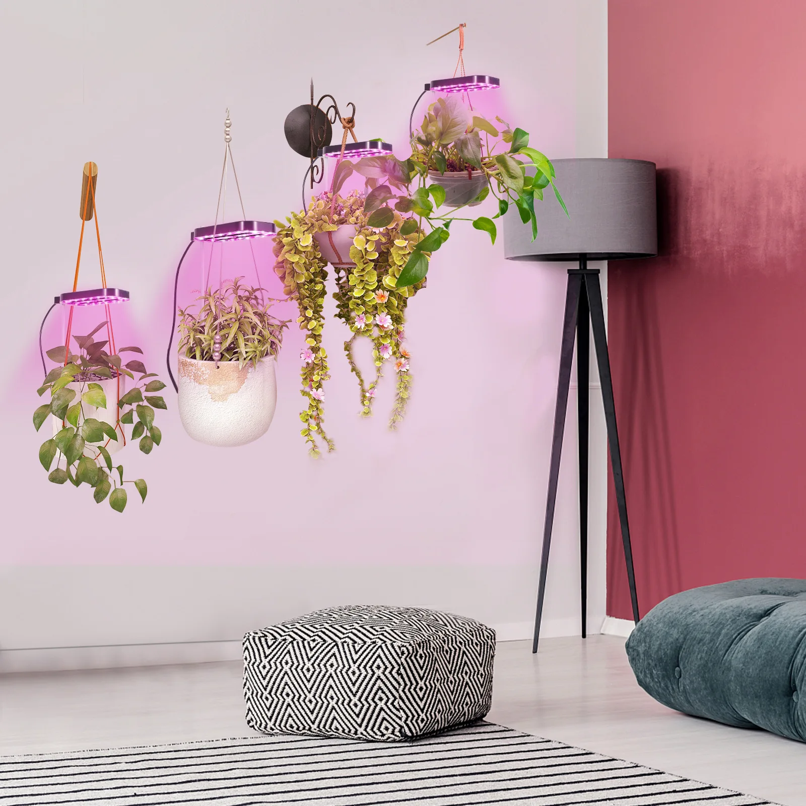 4-in-1 USB Indoor Plant Grow Light: Adjustable LED Ring Light, Full Spectrum for Succulents, Potted Plants & Seed Growing