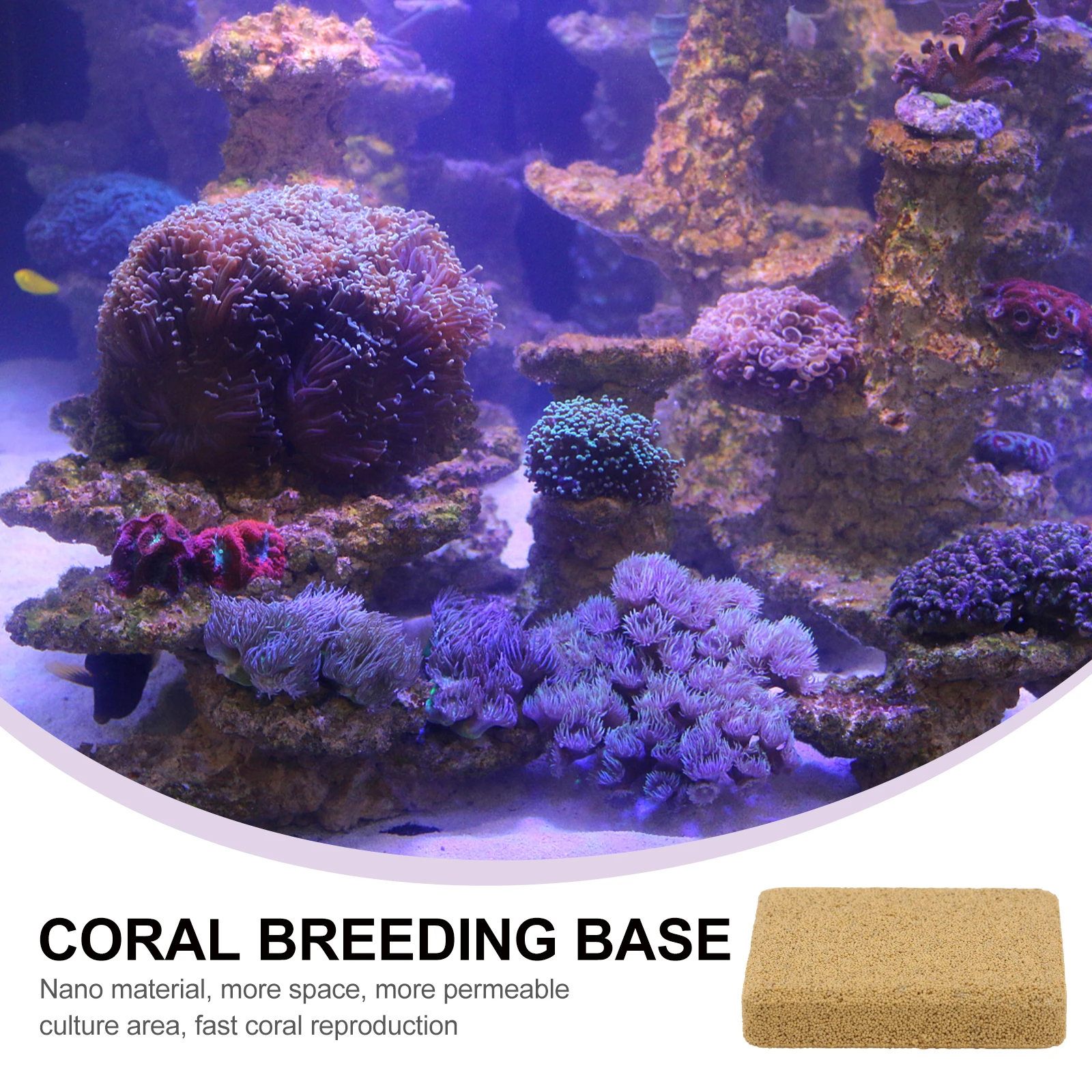 

10pcs Breeding Base Rack Aquarium Support Growth Tray Fish Tank Coral Holder Aquarium Supplies Durable Coral Holder