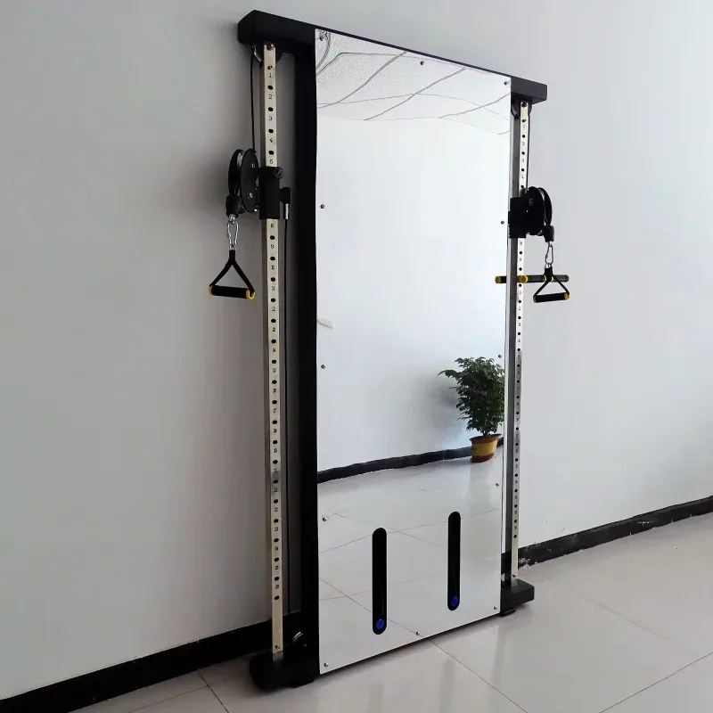 【Hot】Wall Bird Trainer Wall-mounted Double Squat Trainer Retractable Bird Frame Home and Commercial Comprehensive Fitness Equipm