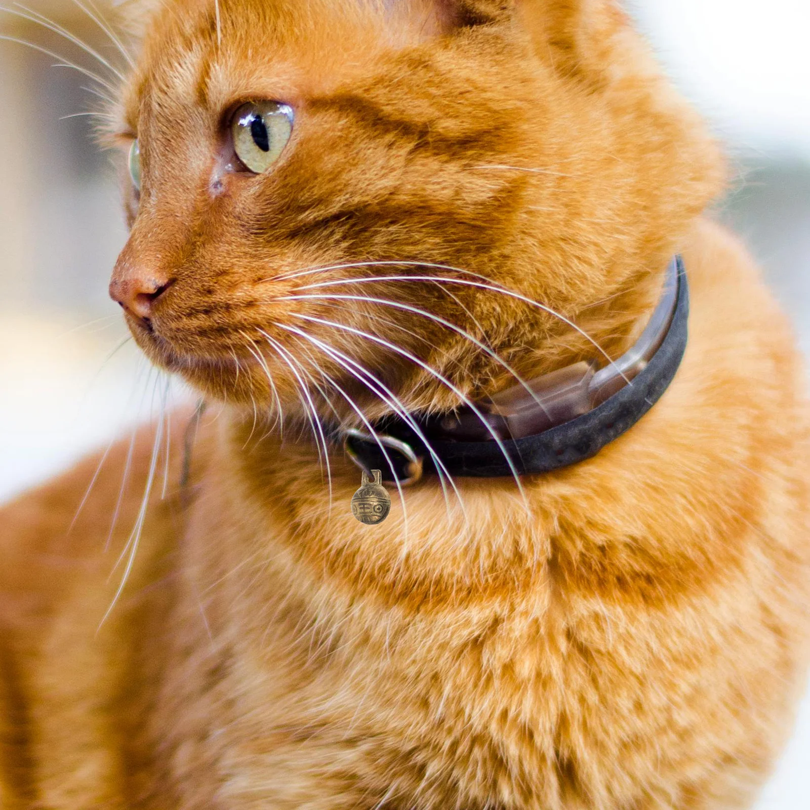 

10pcs Copper 1.4Cm Tiger Head Design For Pet Collar Cat Dog Bell Charm Diy Crafts Keychain Wind Chimes Decorative Small