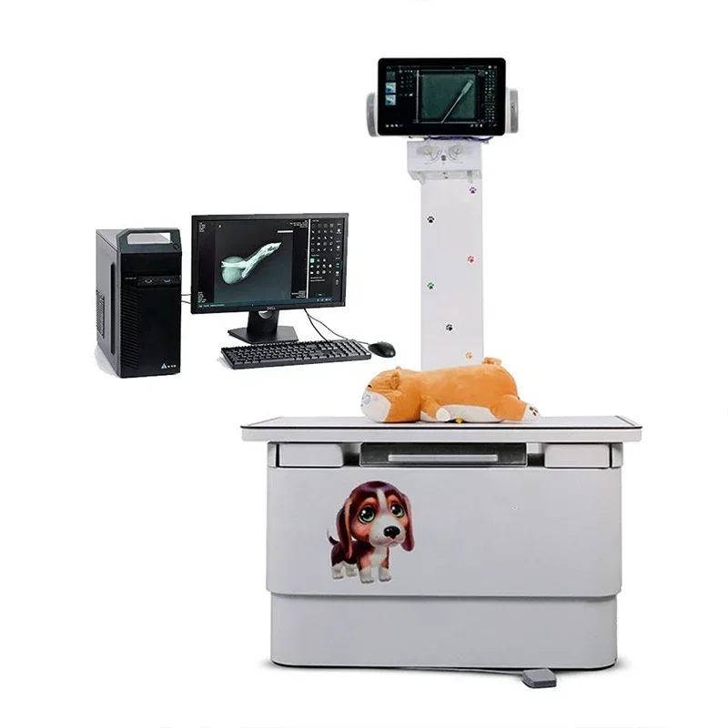 Professional veterinary equipment Veterinary Digital X Ray Machine Animal X Ray Machine For Dog Cat Big Animal