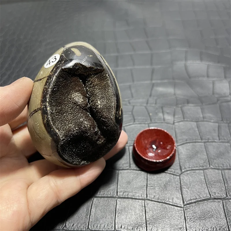 Curvatura naturale degli articoli per l'arredamento Septarian di palline di uova di pietra di grano di tartaruga
