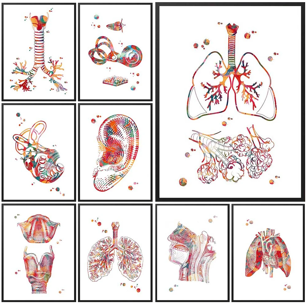 Abstract Anatomy Liver Ears Organ Prints Poster Wall Art Canvas Painting Home Decor Wall Pictures For Living Room Unframed