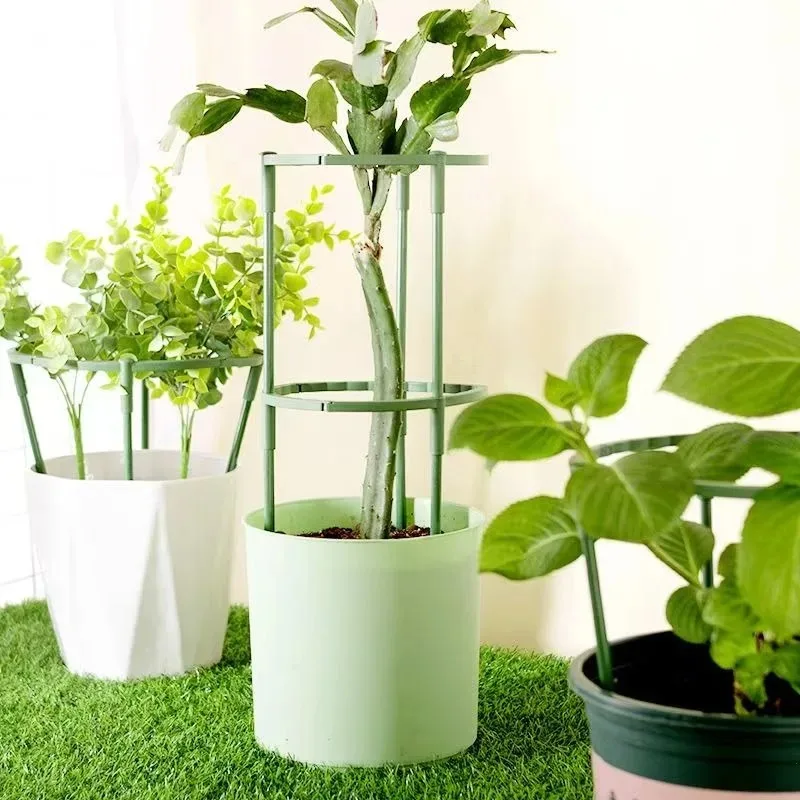 البلاستيك نبات دعم كومة حامل للزهور نصف دائرة الدفيئة ترتيب تحديد قضيب حامل بستان حديقة بونساي أداة